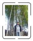 Kiran among the bamboo
 : Sujin.com.np