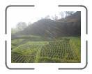 A lovely scenery of Thecho
 : Sujin.com.np